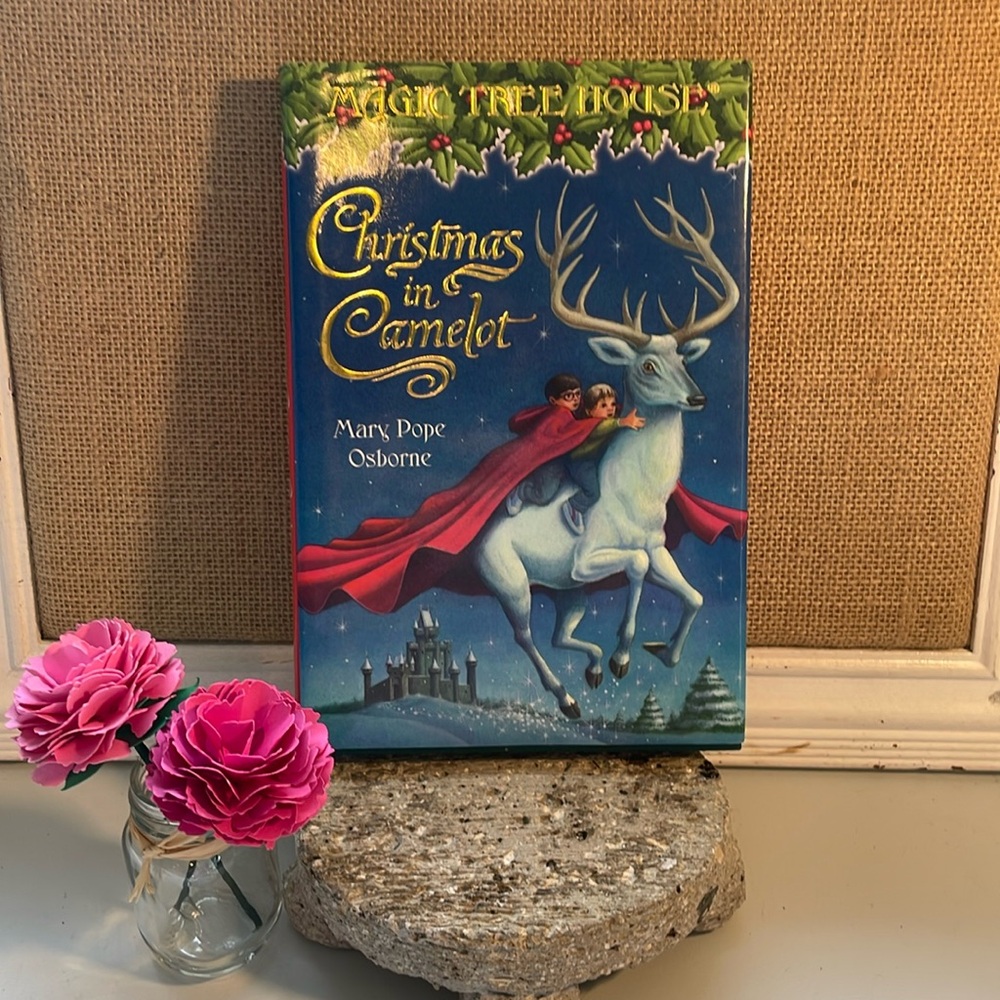 🌈2/$8  Christmas in Camelot #29 in the Magic Tree House Series